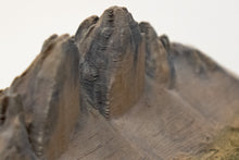 Carica l'immagine nel visualizzatore di Gallery, Tre Cime - Full color