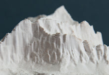 Carica l'immagine nel visualizzatore di Gallery, Civetta